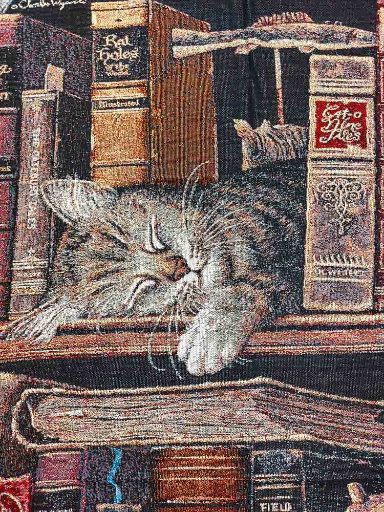 Coperta jacquard in cotone gatto sulla libreria